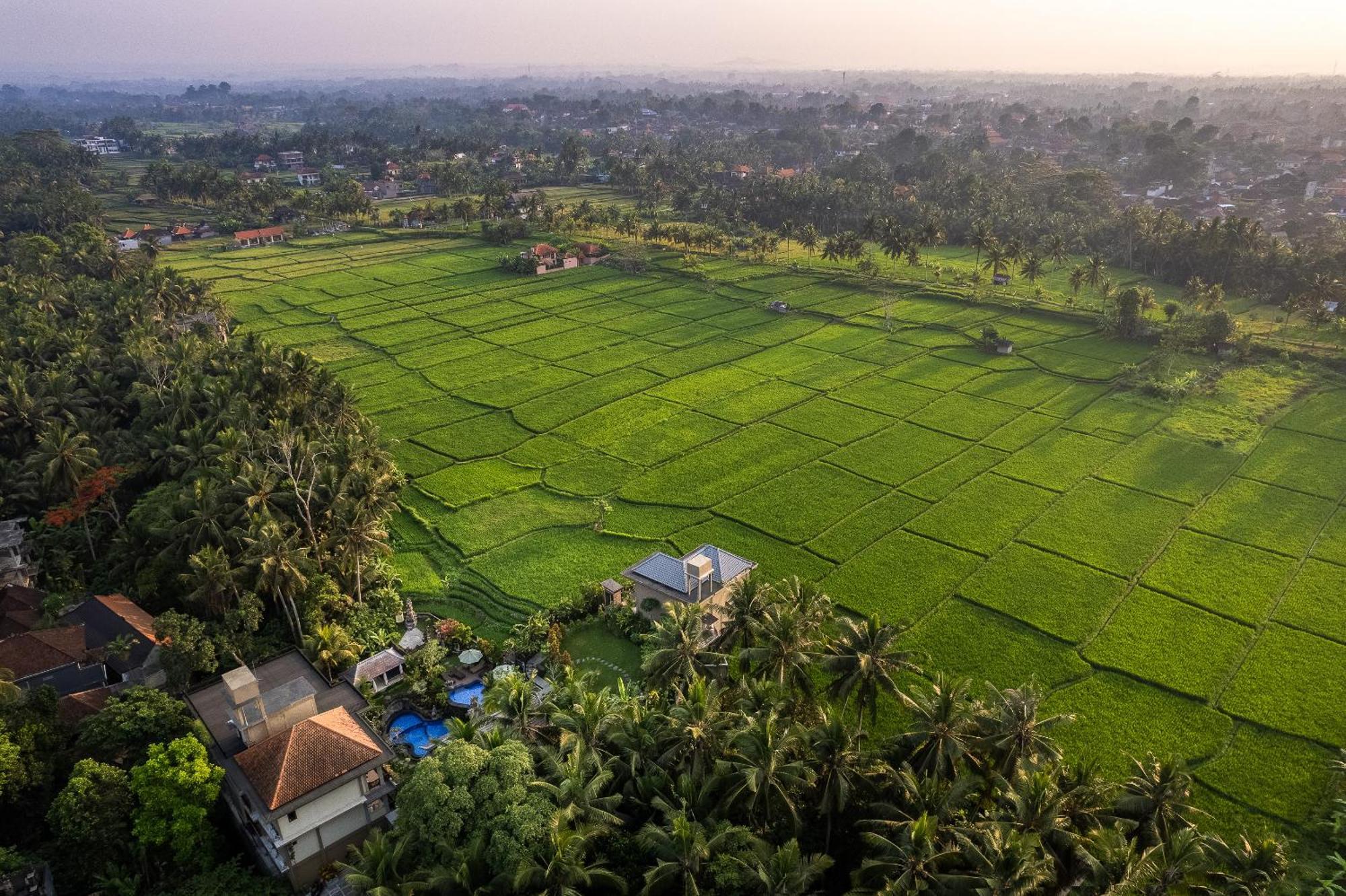 Gynandha Ubud Cottage Esterno foto